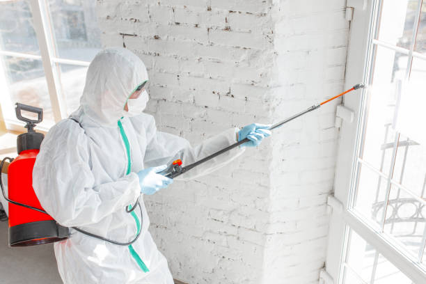 Best Mold Remediation for Healthcare Facilities in USA